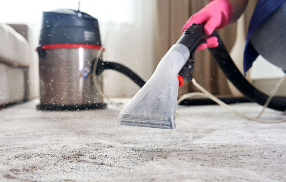 Image illustrating benefits of Professional Carpet Cleaning from HBS