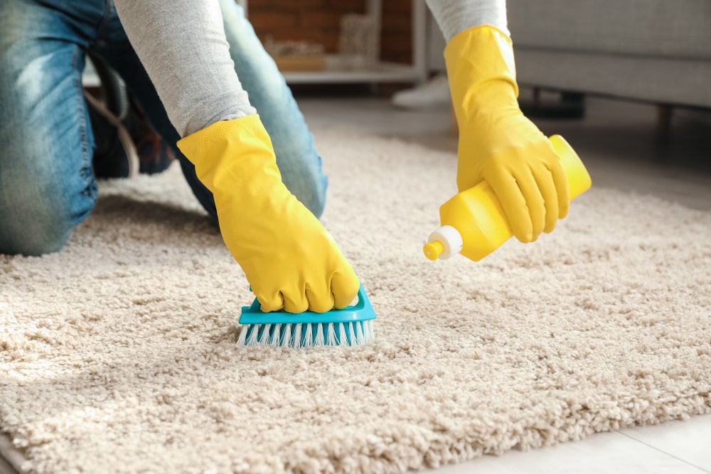Image showing Professional Carpet Cleaning from HBS