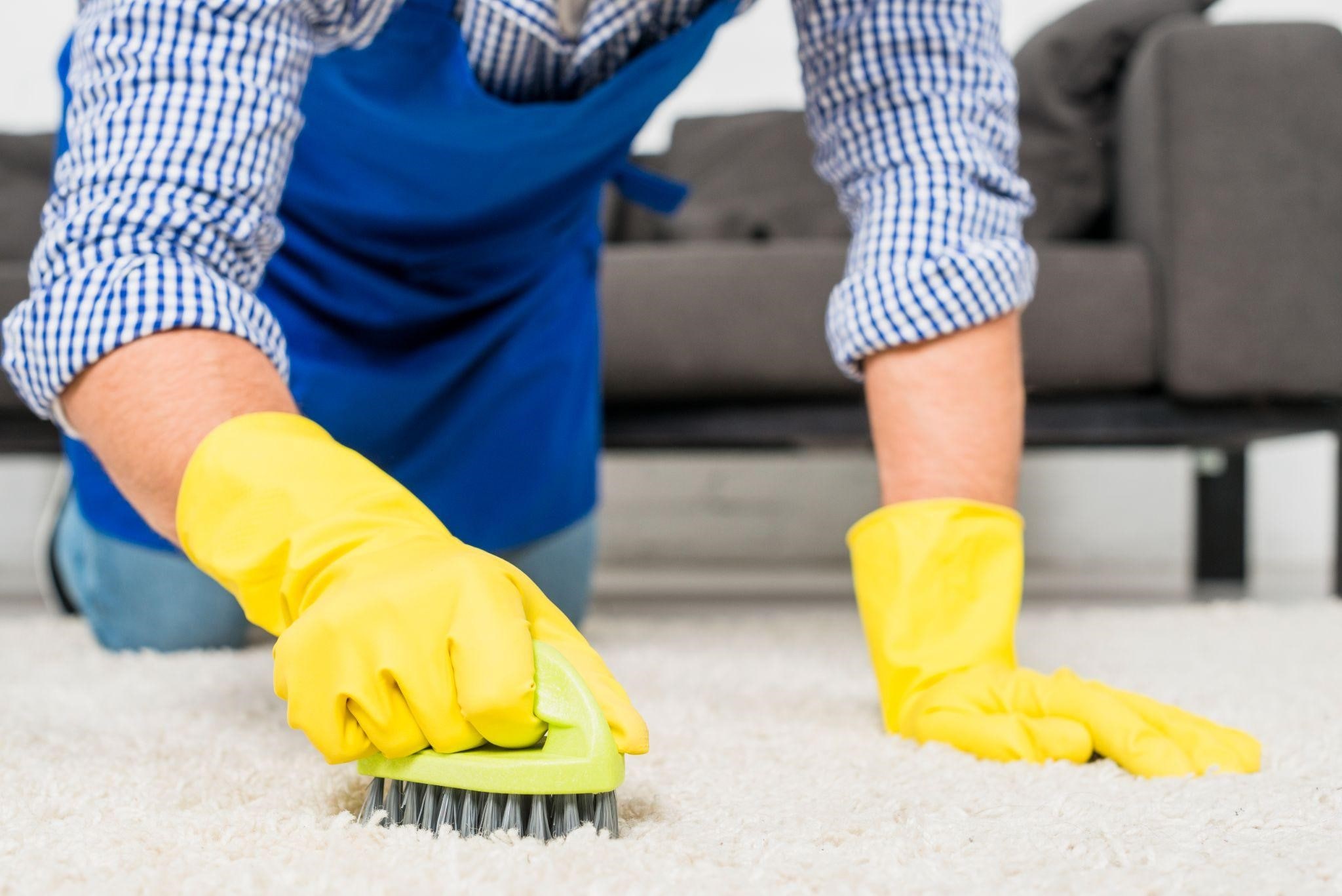 Image illustrating a professional carpet cleaning services in New York