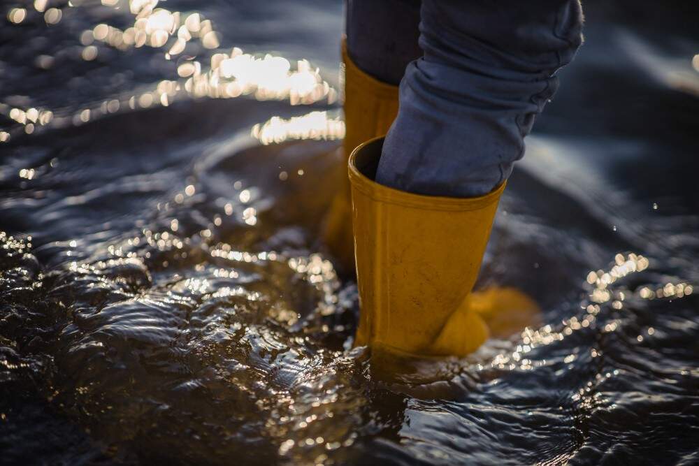 Flood cleaning team in New York