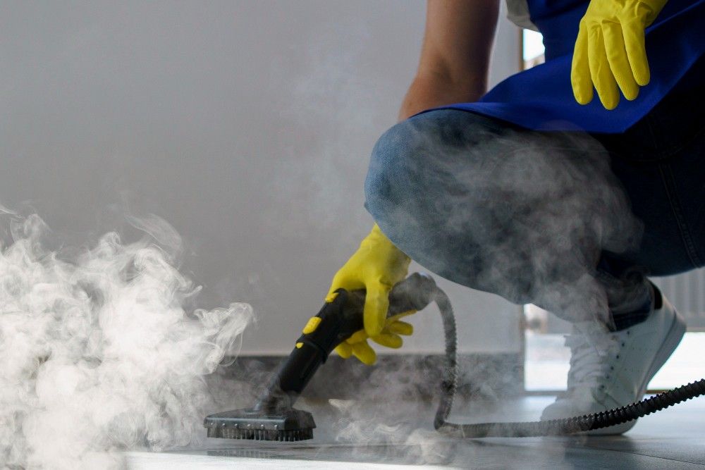 Professional carpet cleaning services in New York