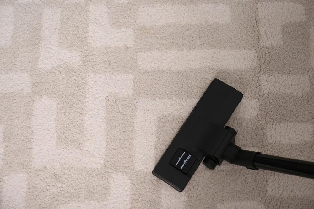 The best carpet cleaning company in New York